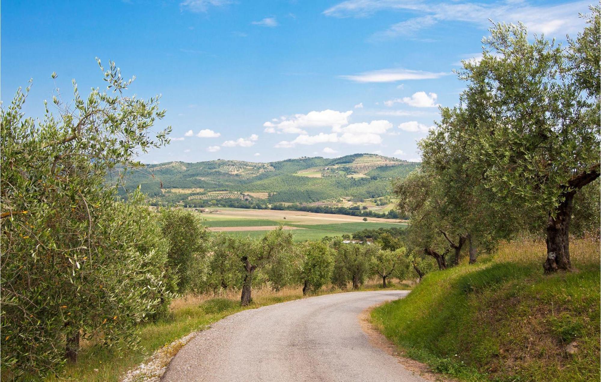 Fonterucola Villa Camporsevoli Dış mekan fotoğraf